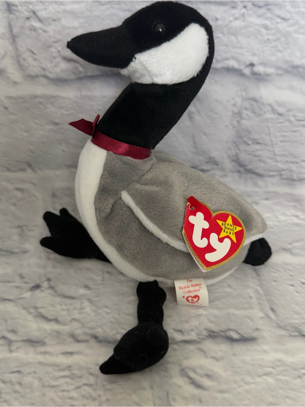TY Beanie Baby - Loosy